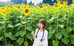 葫芦岛锌厂贴吧